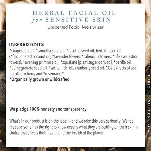Unscented Herbal Facial Oil 15ml D90203