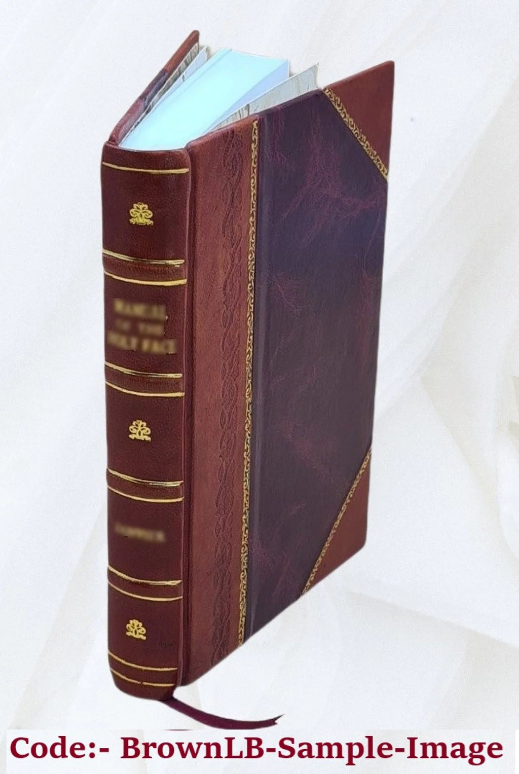 America as I saw it Leather Bound G530