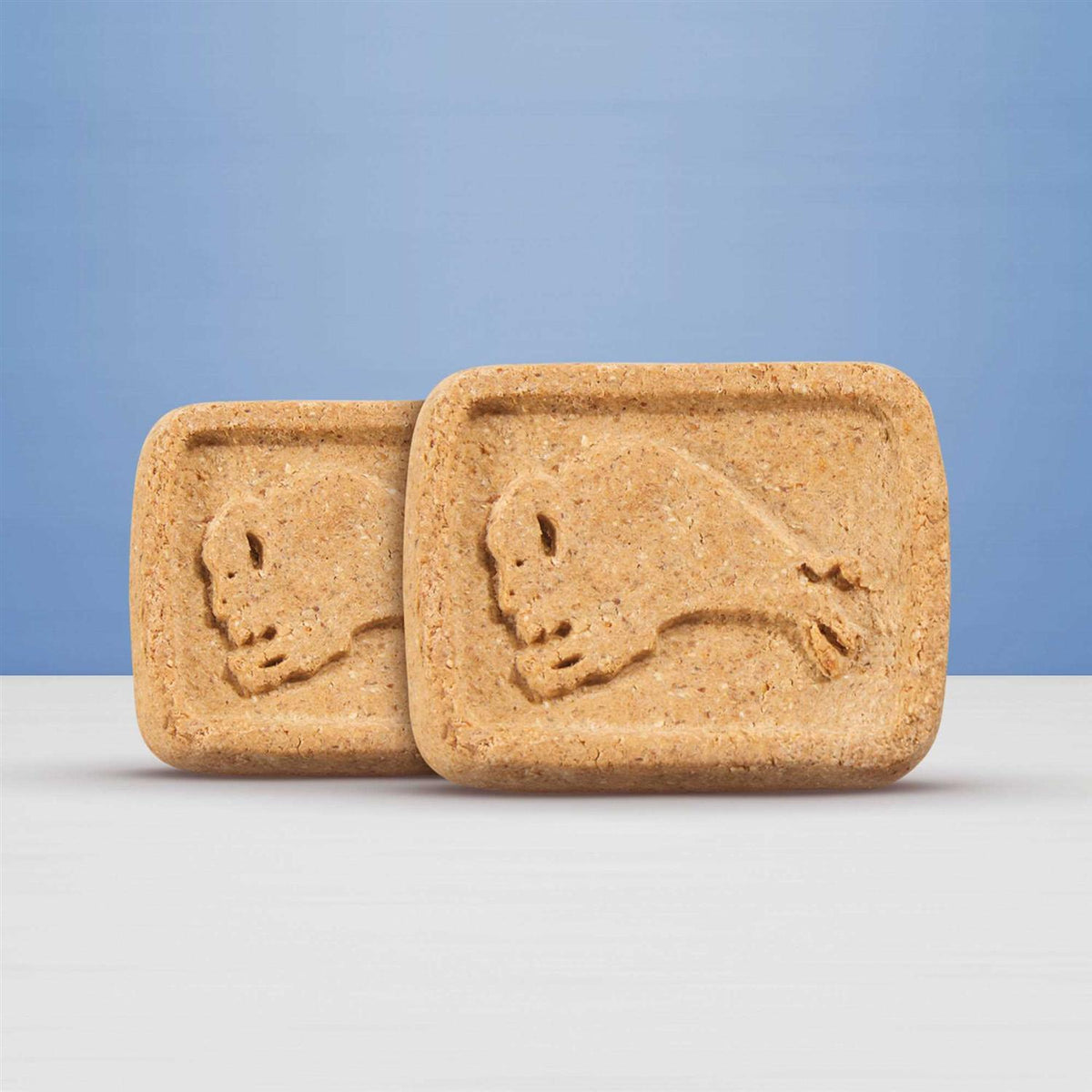 Dog Biscuits Y4858