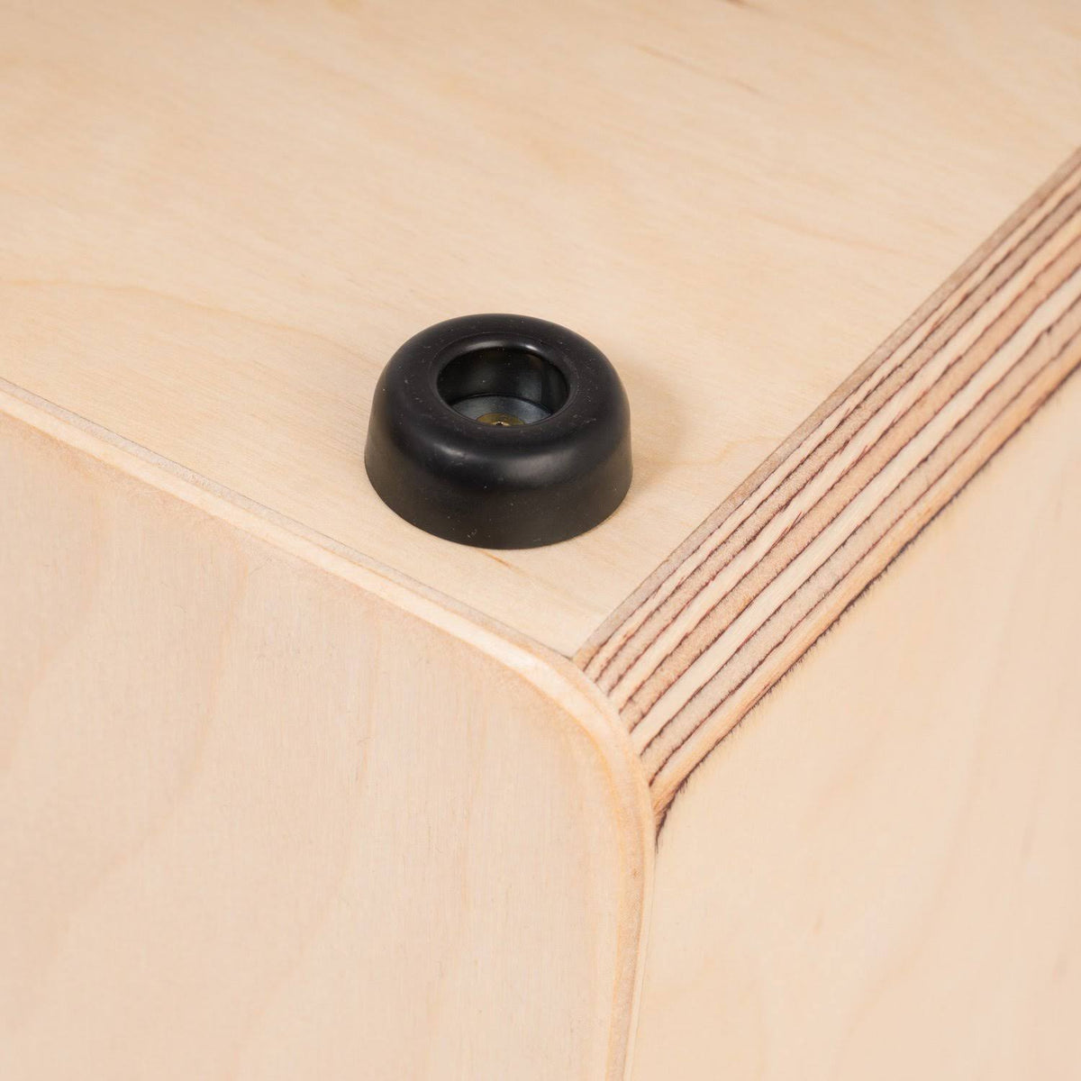 Black Cajon Y344284