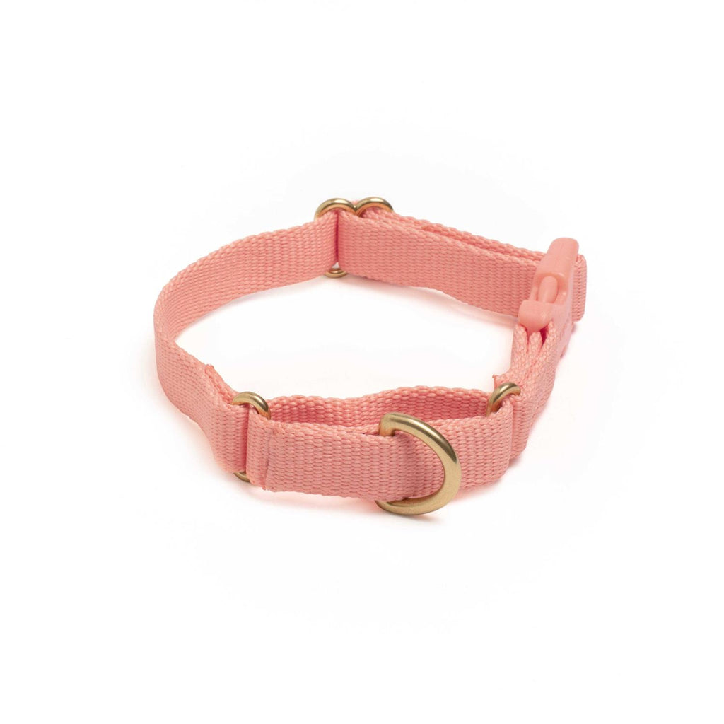Martingale Dog Collar W85039