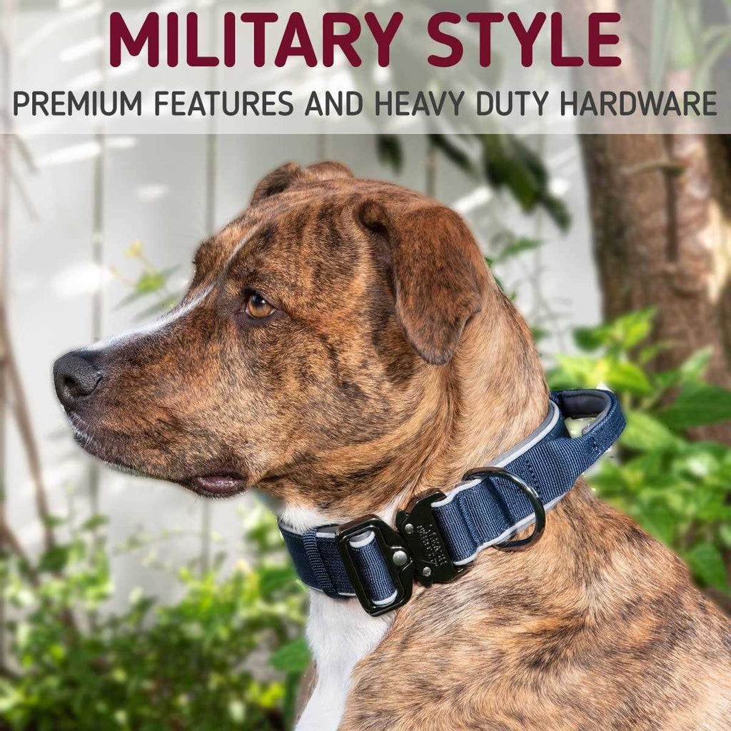 Heavy-Duty Adjustable Dog Collar with Handle U419788