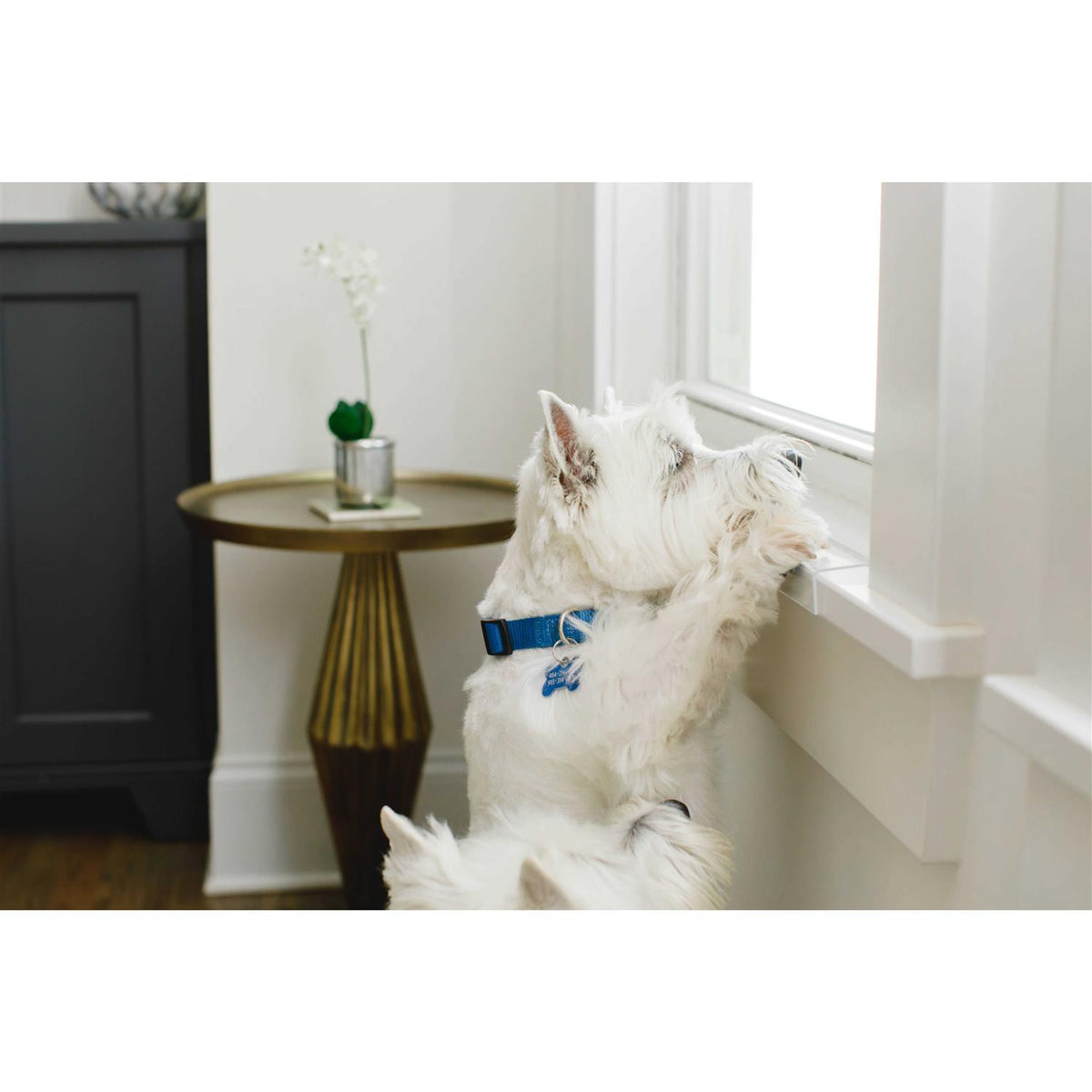 Transparent Window Sill Protector P836