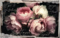 Tissue Paper R94499