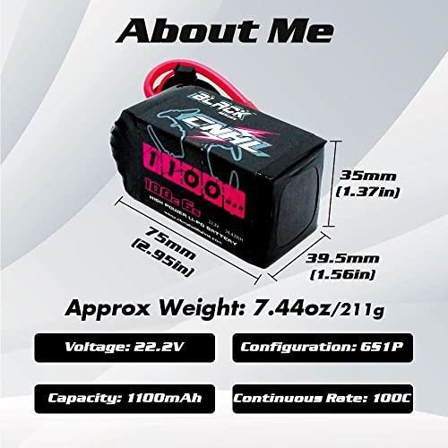 6S 1100mAh 100C 22.2V Lipo Battery with XT60 Plug (2 PCS) L350998
