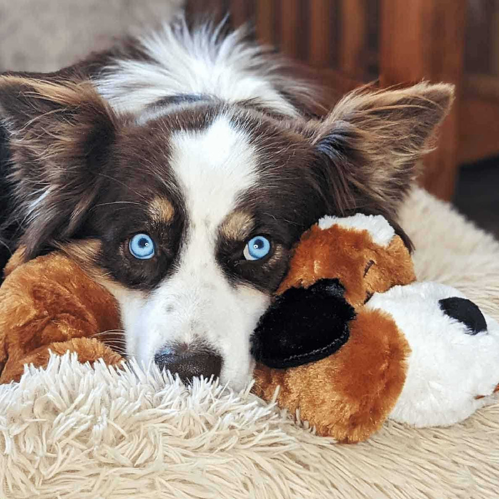 Brown and White Snuggle Puppy G8537