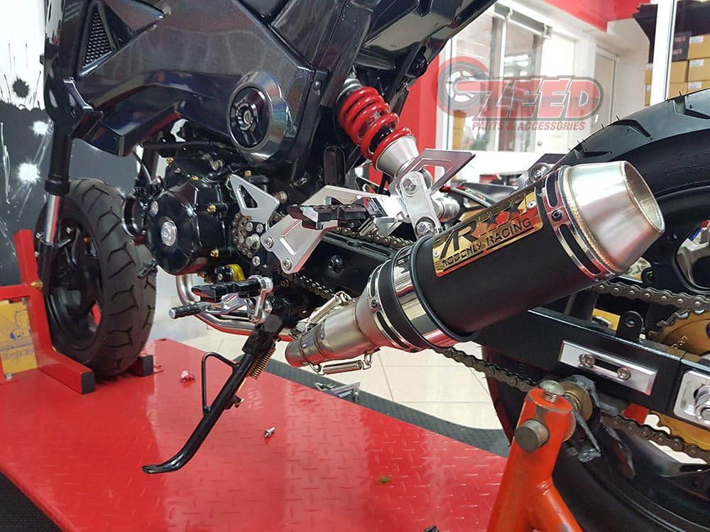 Dual Low Mount Exhaust B771374