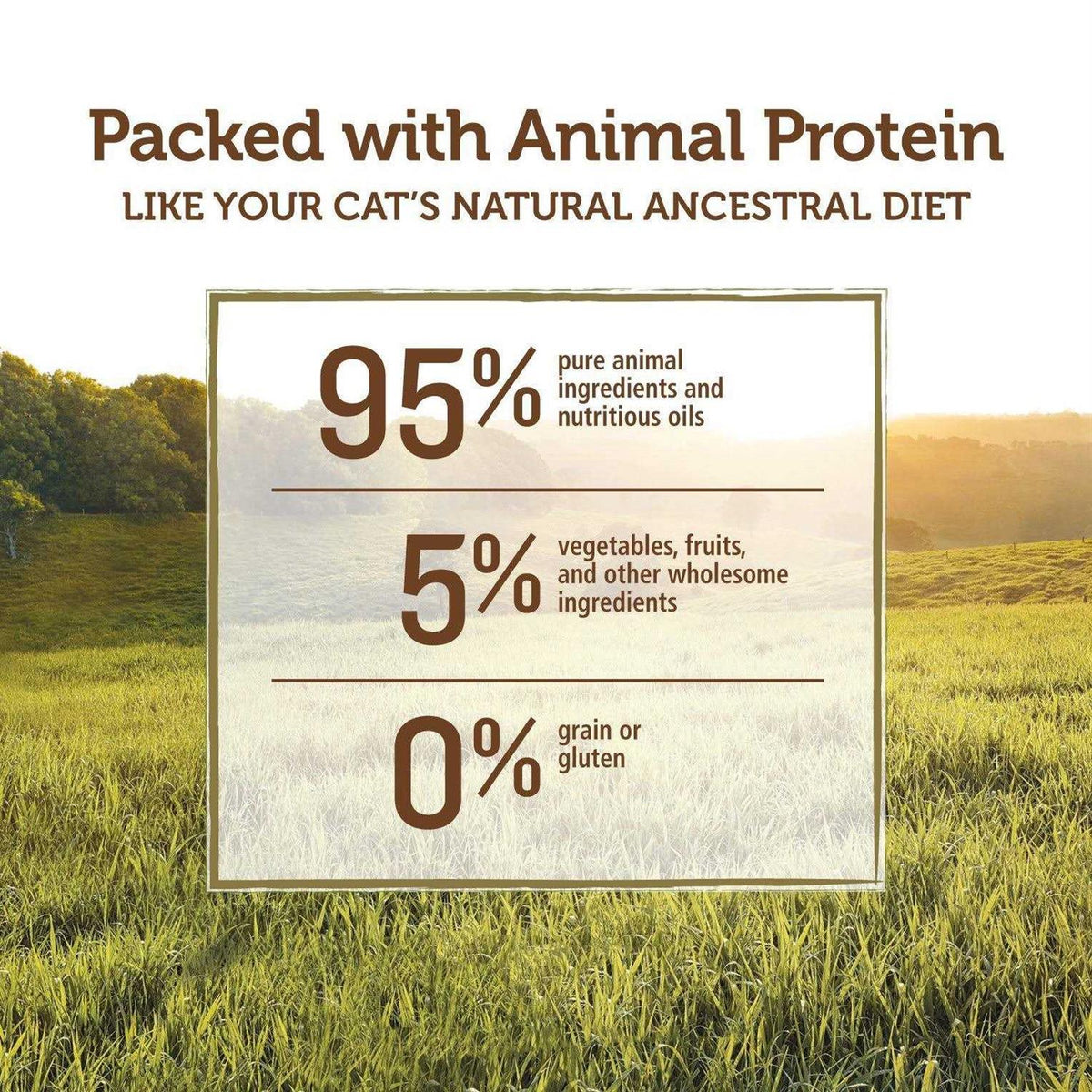 Grain-Free Cat Canned Food N4169
