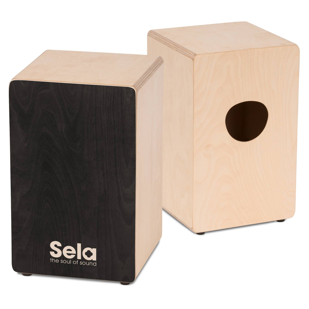 Black Cajon Y344284