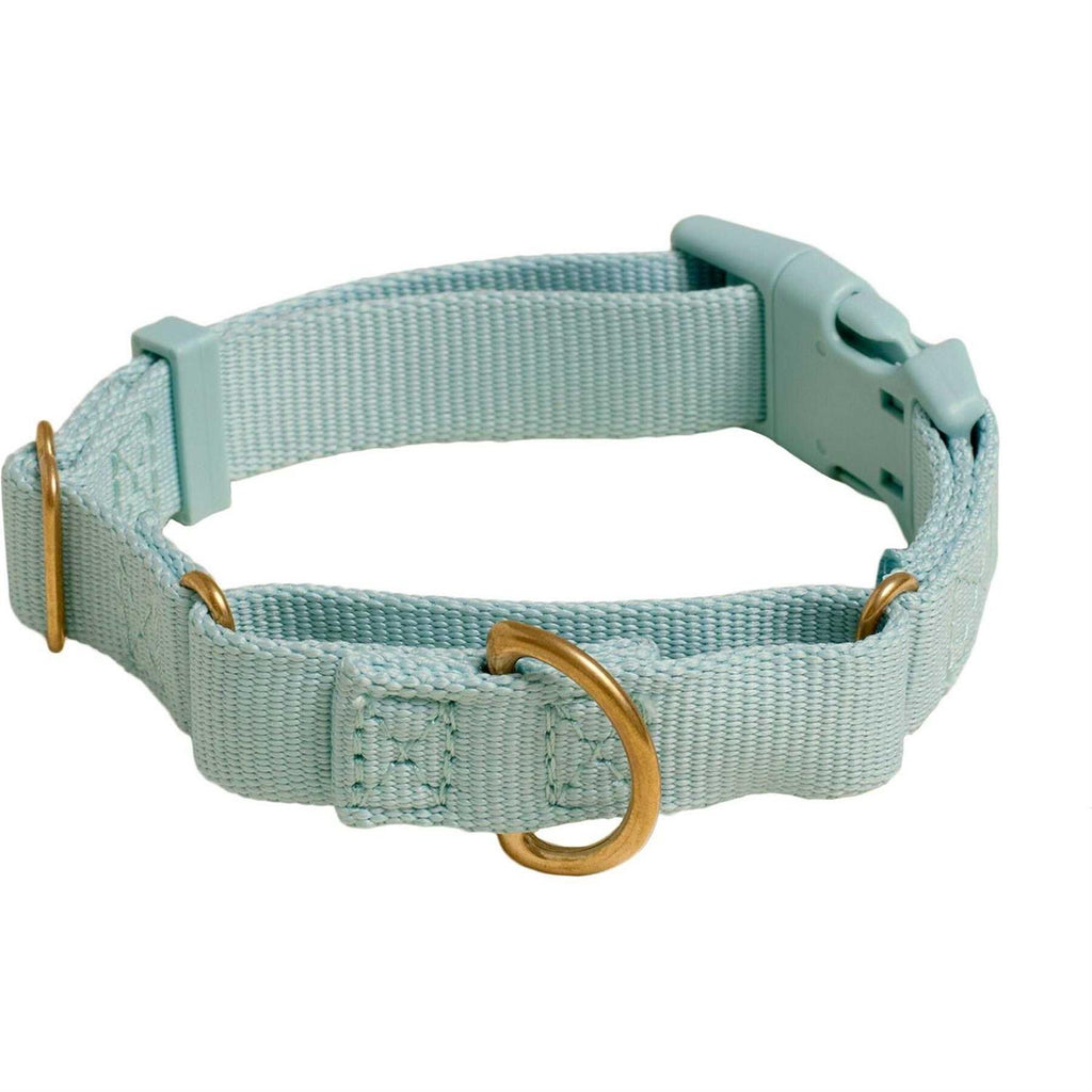 Martingale Dog Collar W85039