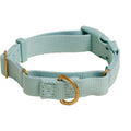Martingale Dog Collar W85039
